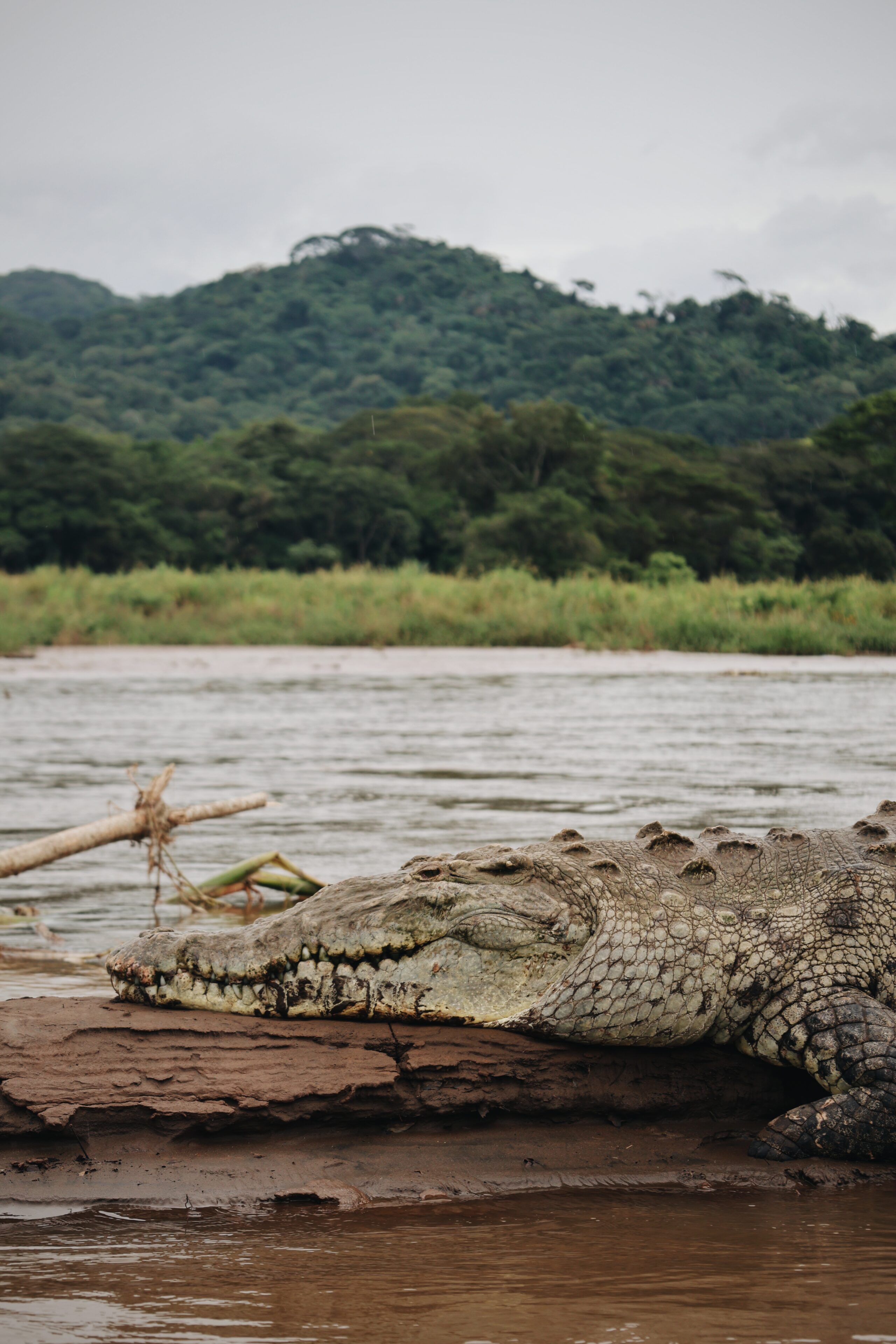 Voyage en famille au Costa Rica Tarcoles