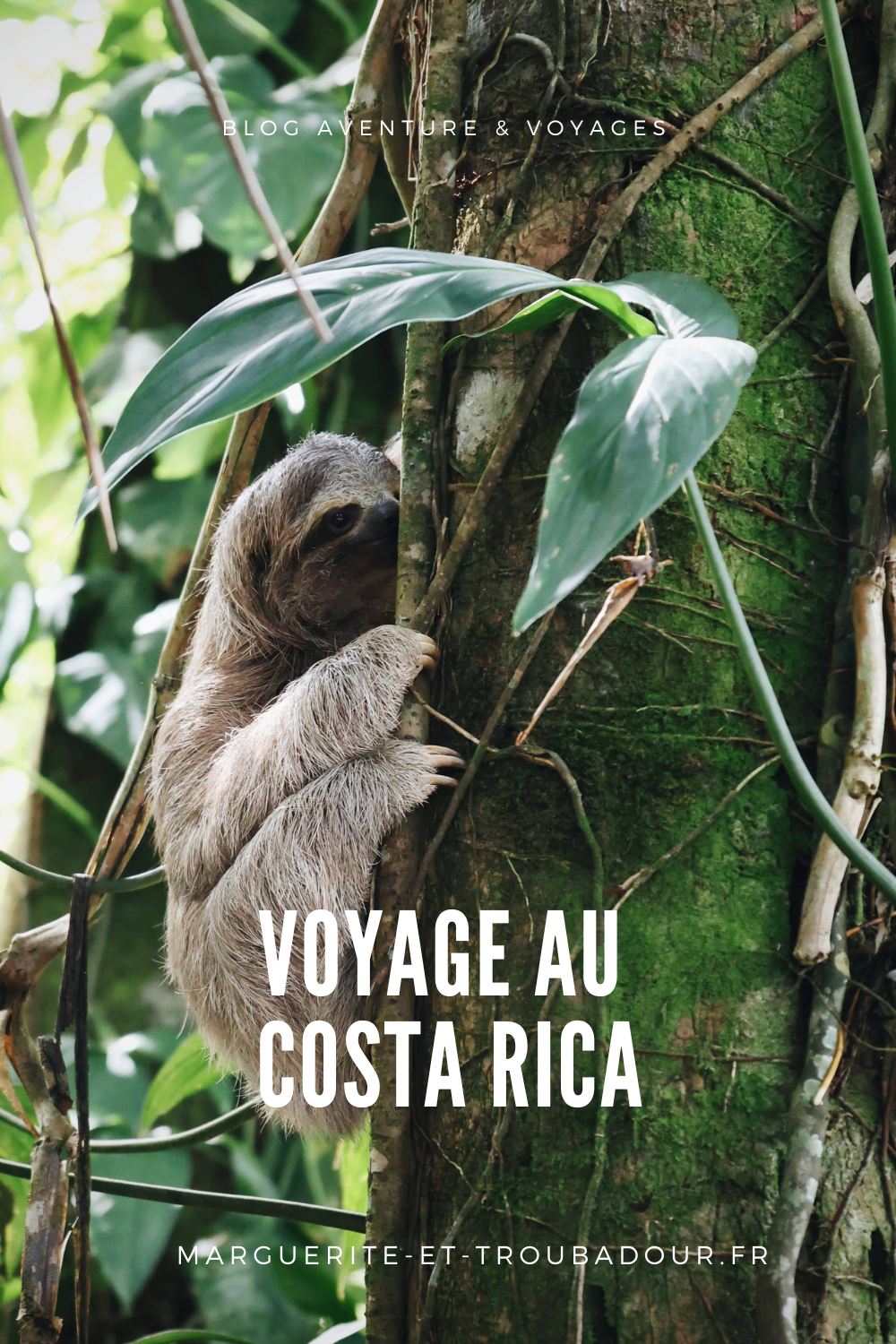 Blog voyage 15 jours au Costa Rica - Itinéraires et conseils