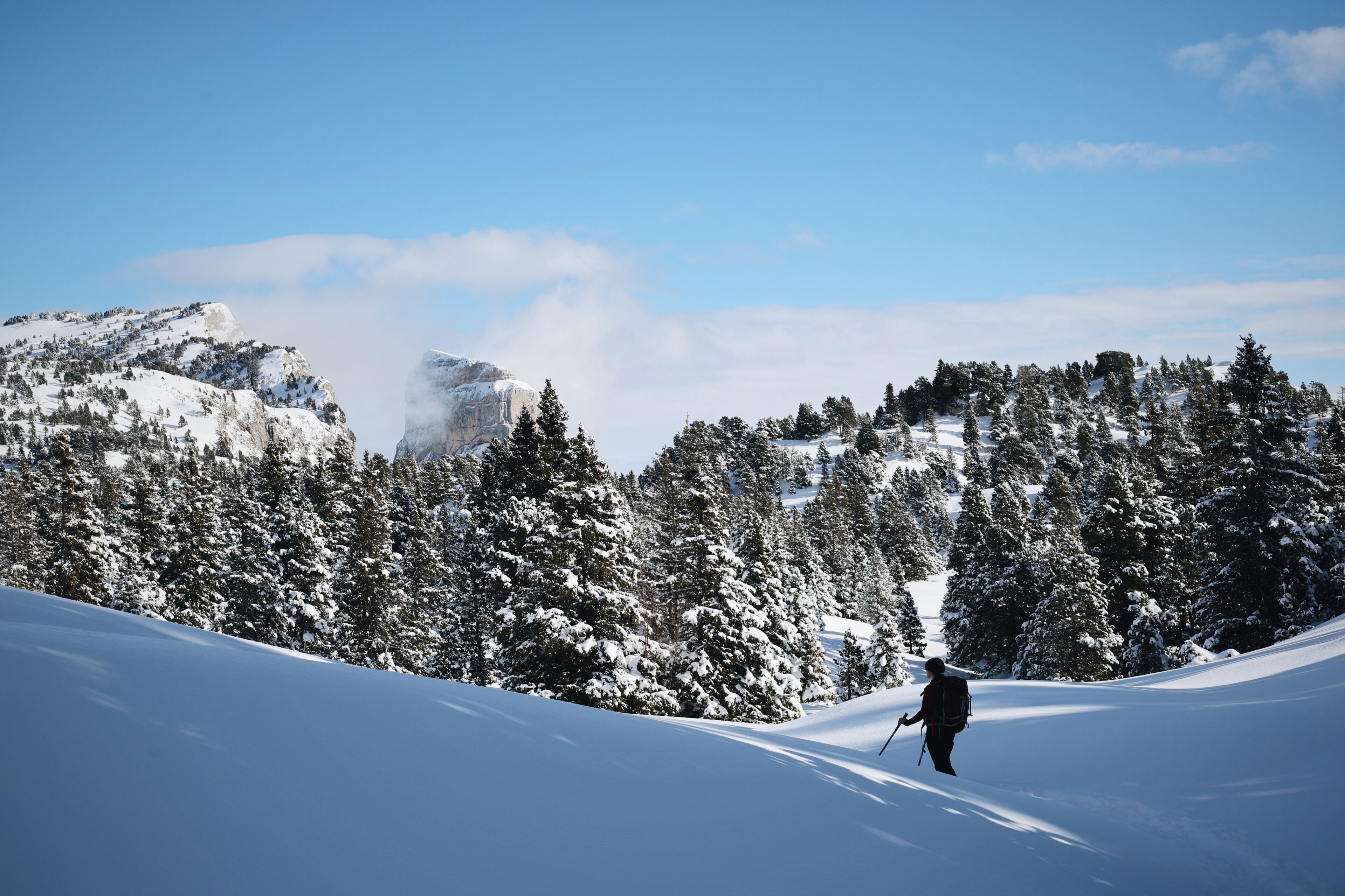 Le Vercors en raquettes à neige