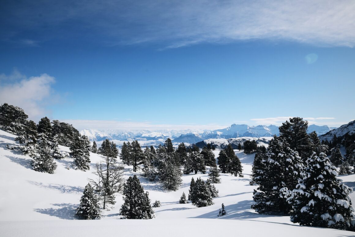 Rando raquettes dans le Vercors une aventure hivernale avec Grand Angle