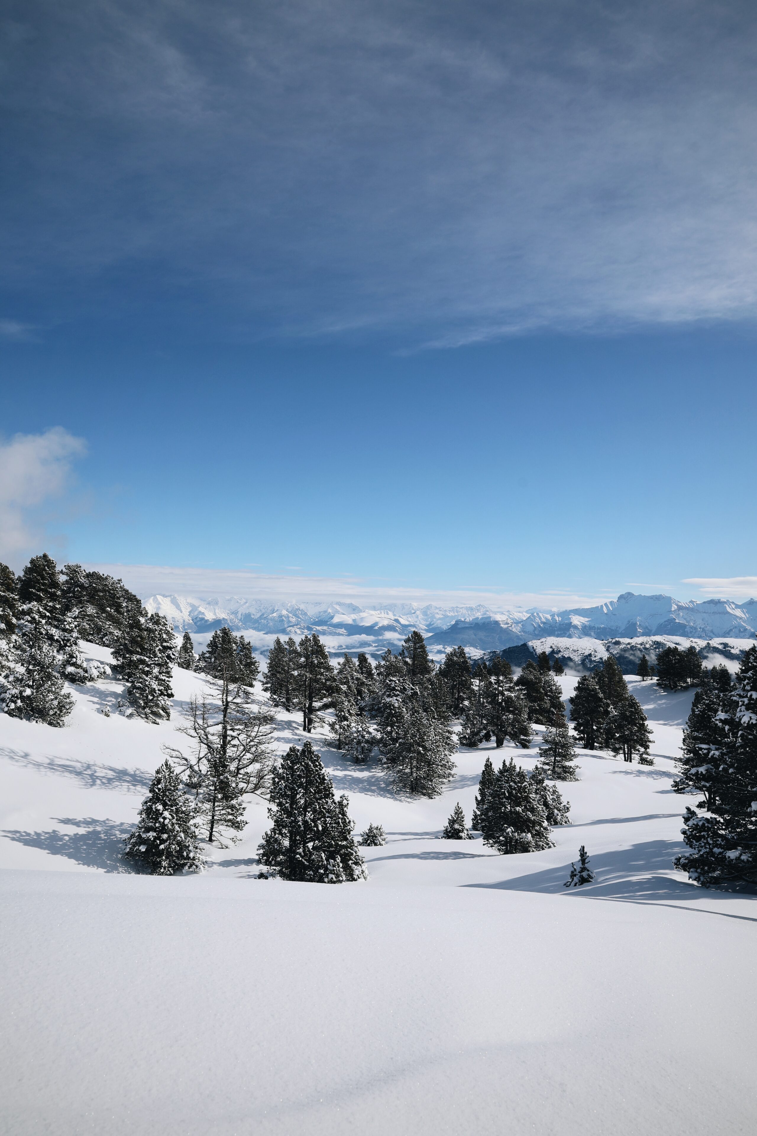 Le Vercors en hiver et en raquettes à neige