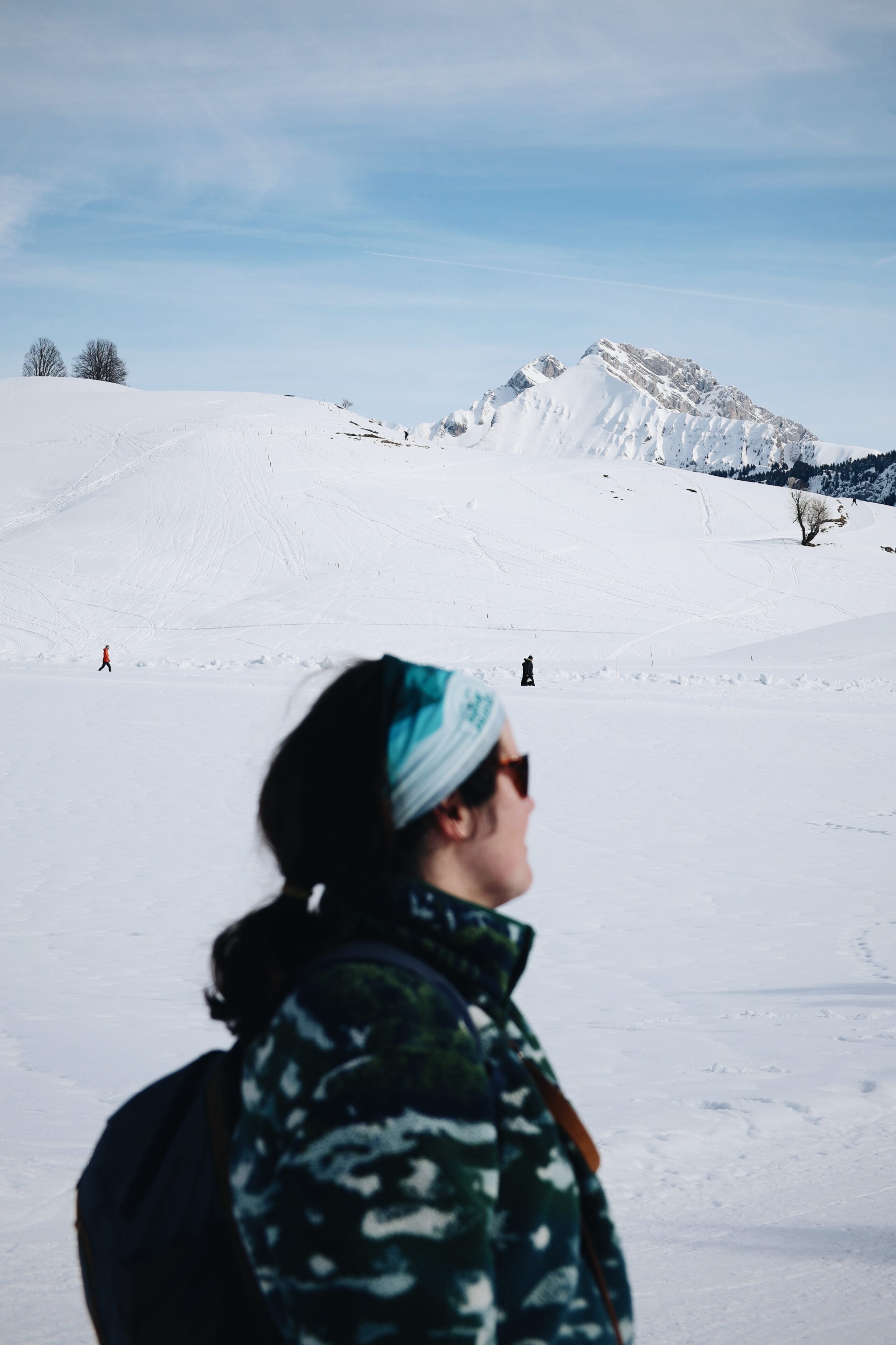 Plateau de ski nordique des Glières