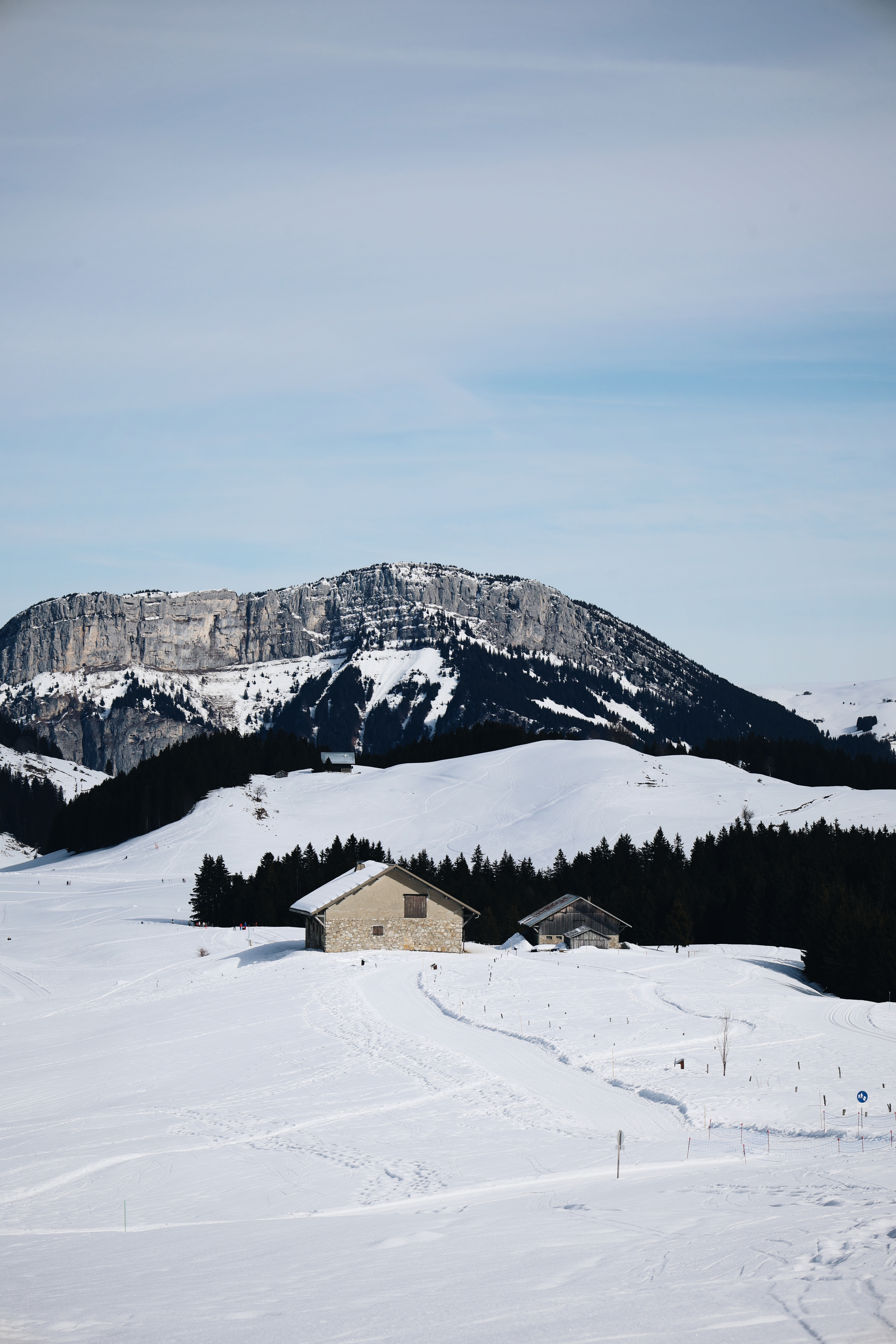 Plateau de ski nordique des Glières
