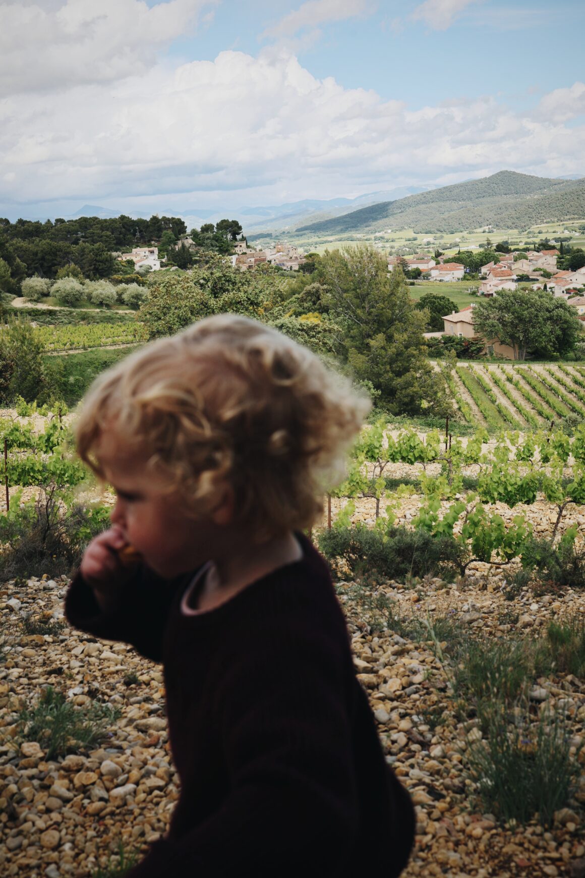 Randonnée dans les Dentelles de Montmirail à Vaison-La-Romaine