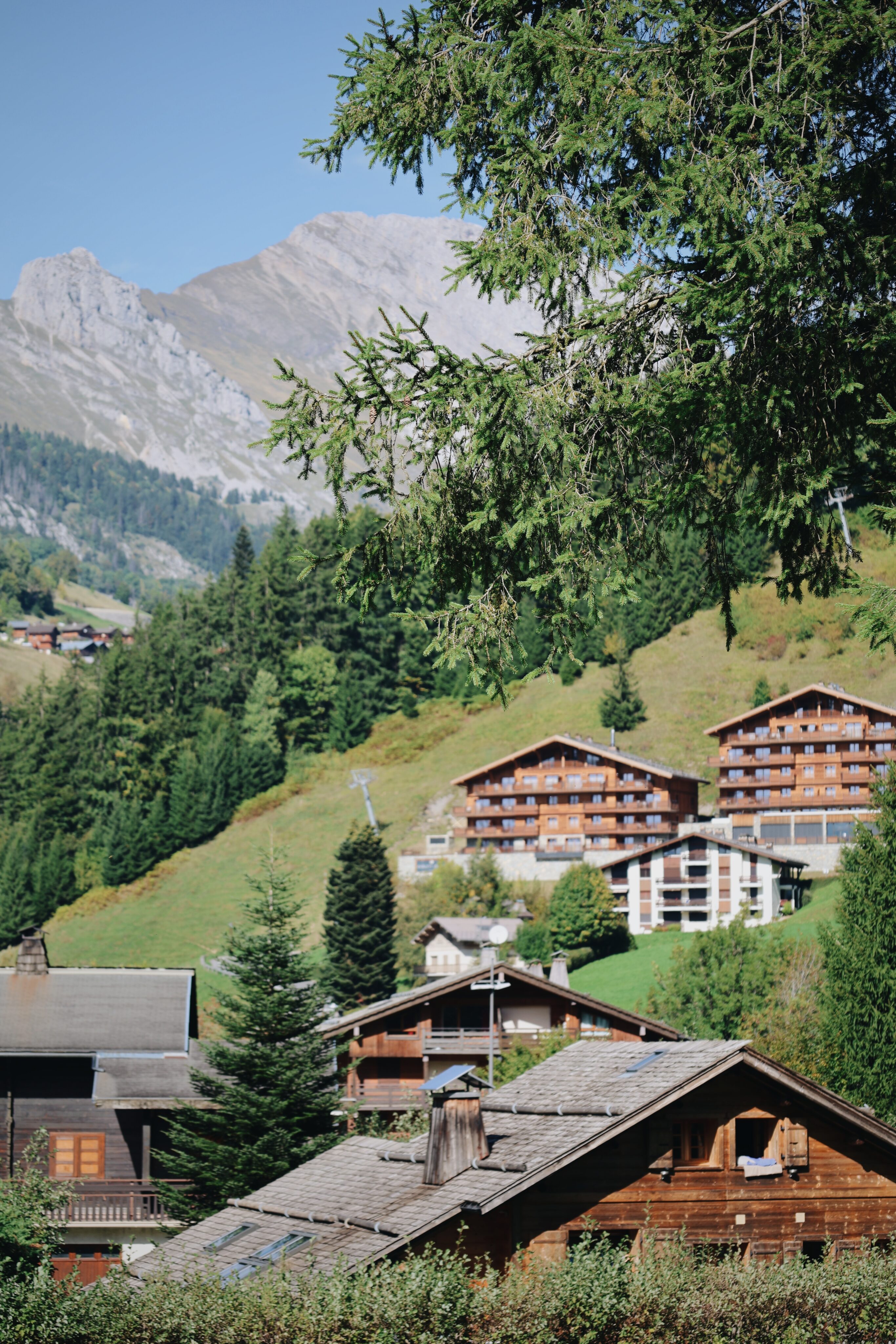 Visiter le Grand-Bornand en été : guide de voyage complet