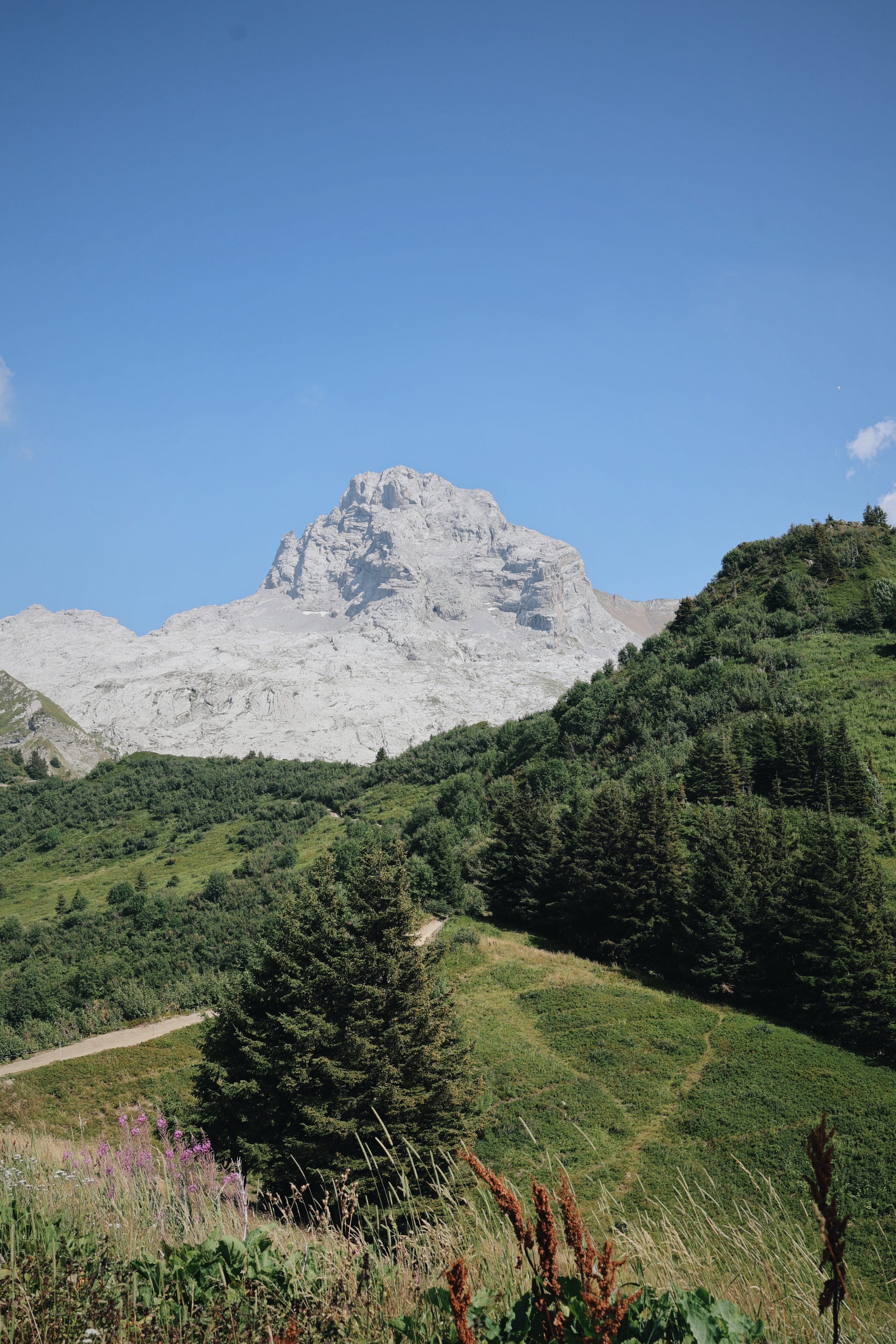 Visiter le Grand-Bornand en été : guide de voyage complet